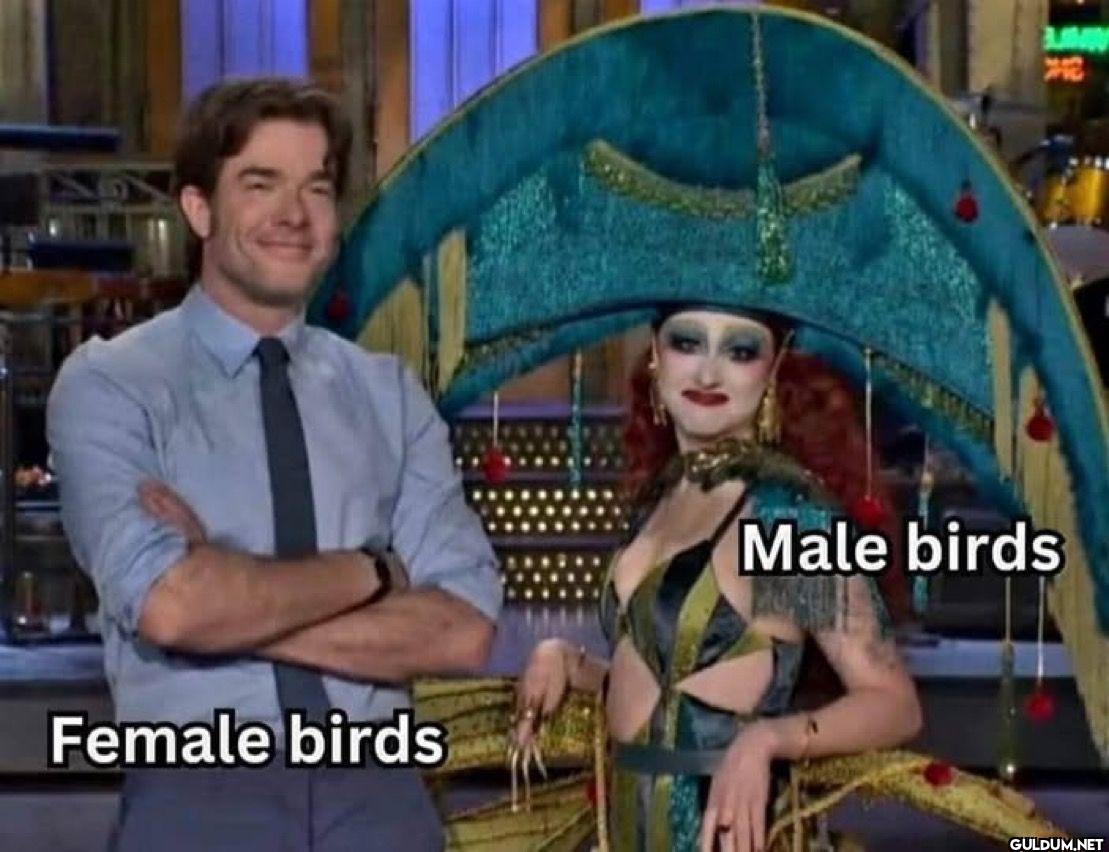 Popular post