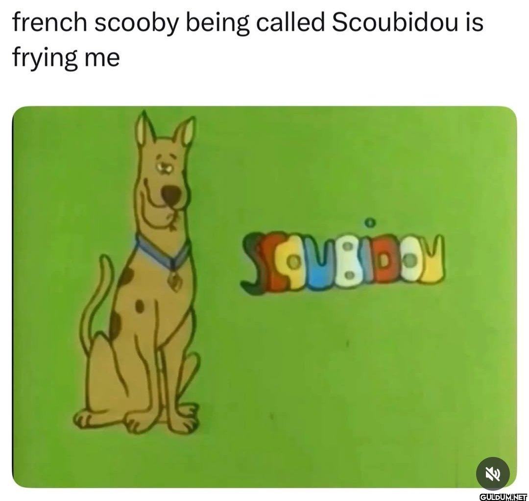 Bro 😭    french scooby...