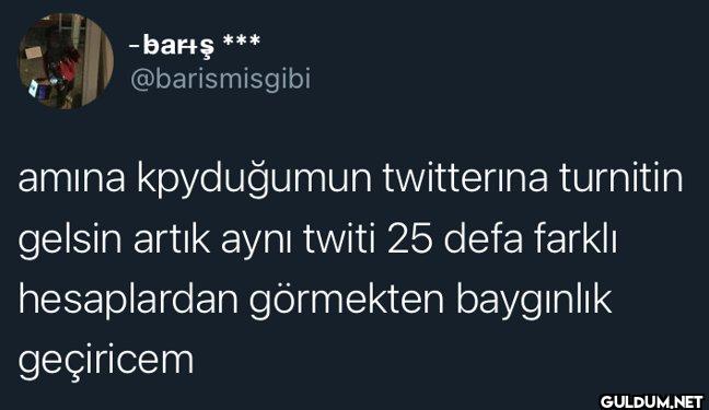 amına koyduğumun...