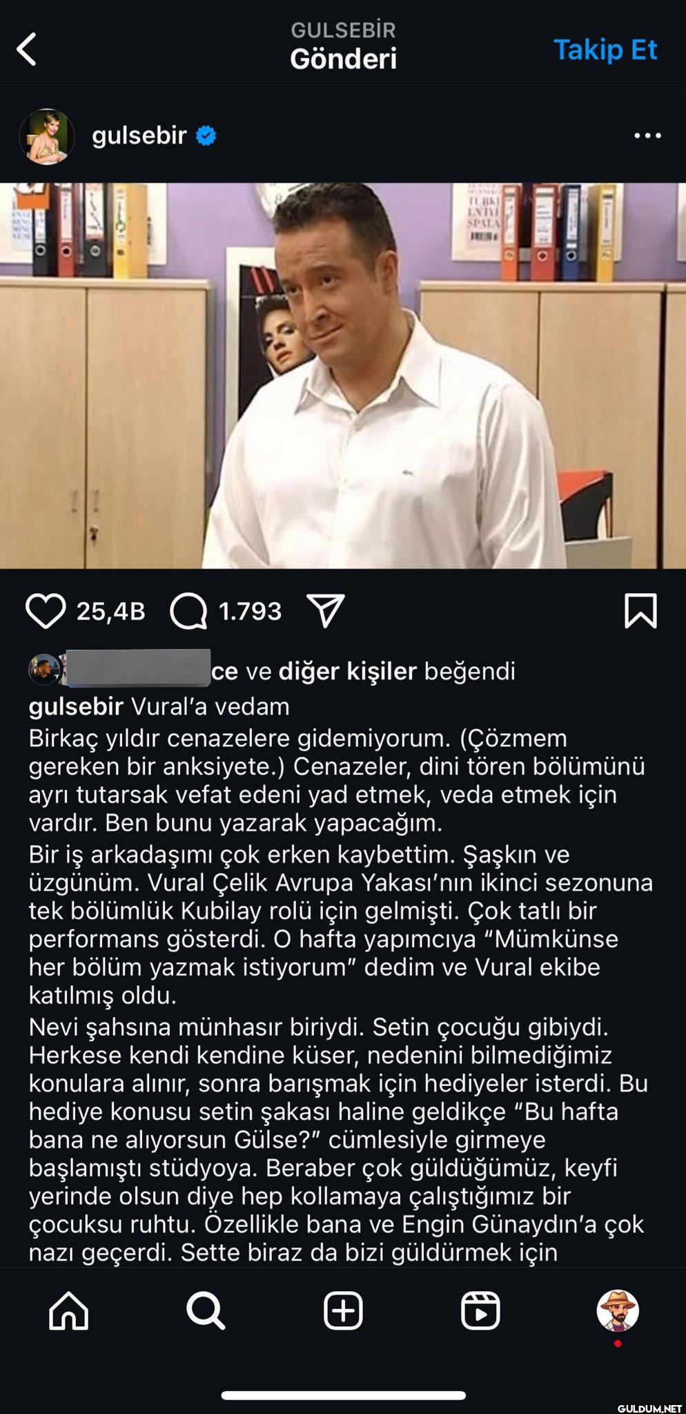 Gürse Birsel ne...
