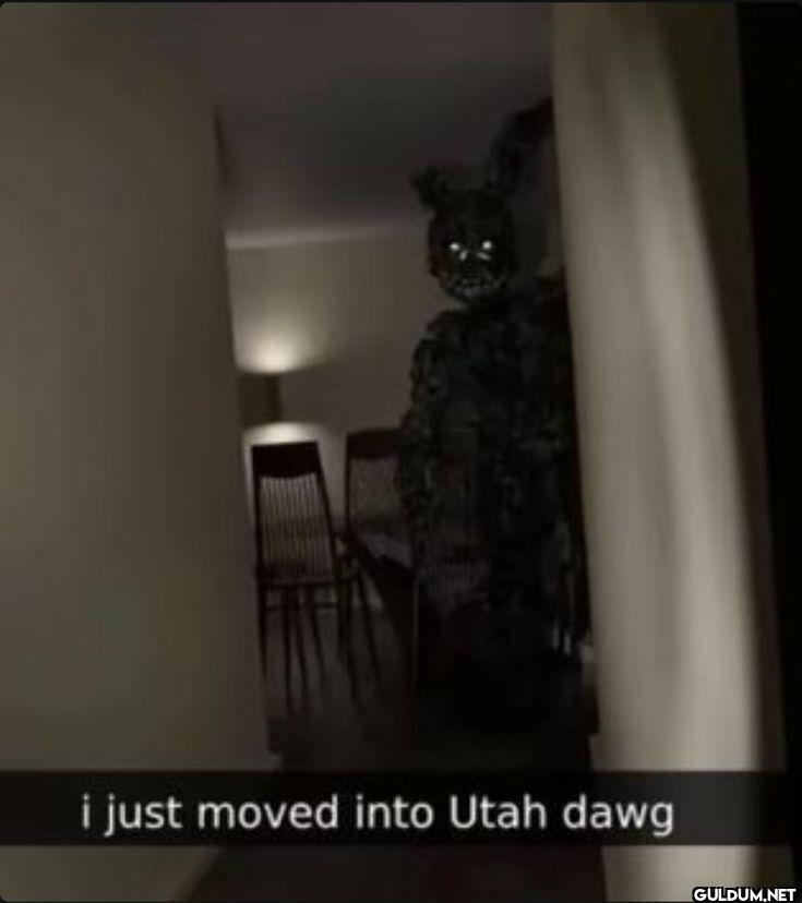 i just moved into Utah dawg