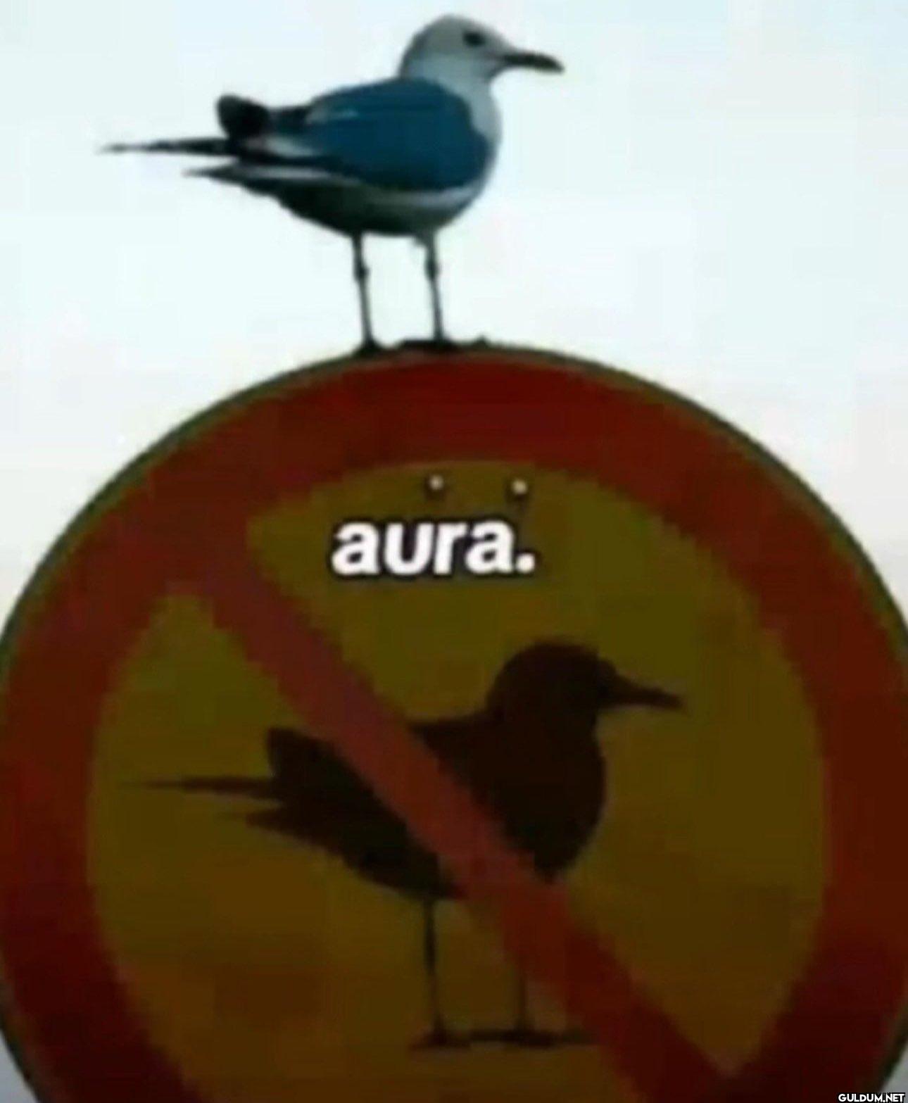 aura.
