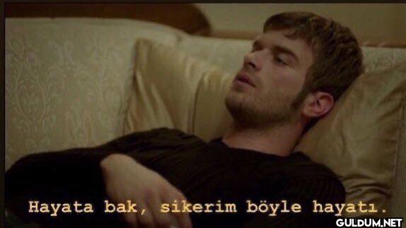 Hayata bak, sikerim böyle hayatı.