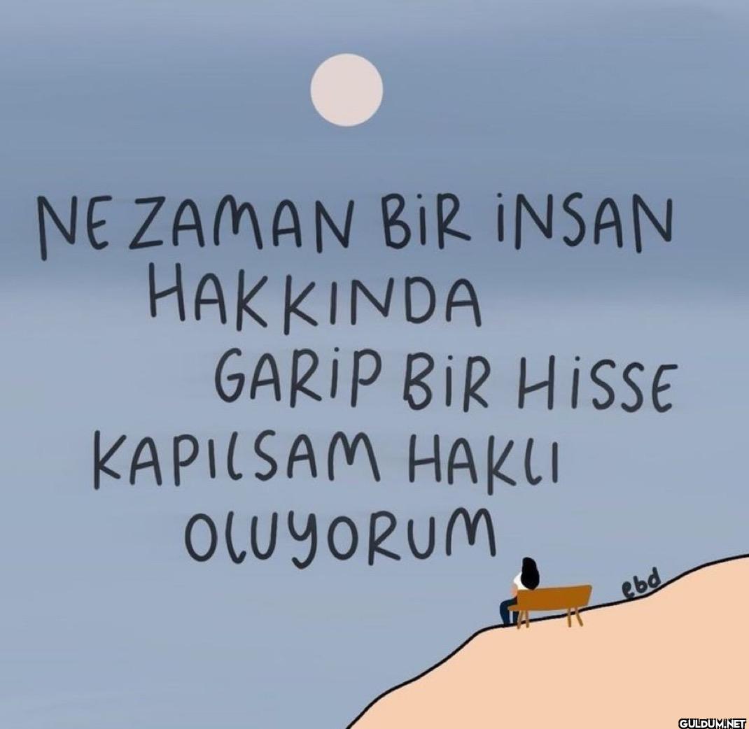 NE ZAMAN BIR INSAN...