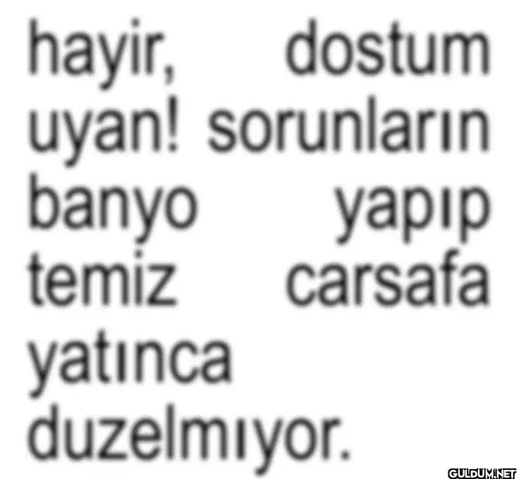 hayir, dostum uyan!...