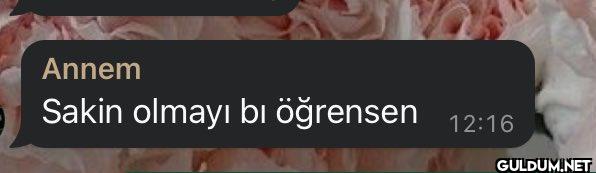 Annem Sakin olmayı bı...