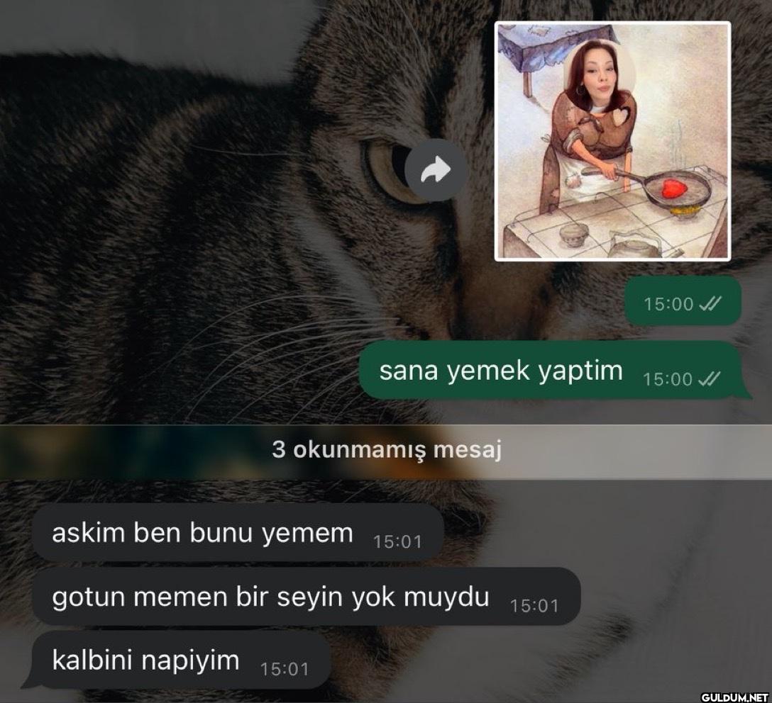 15:00 sana yemek yaptim...