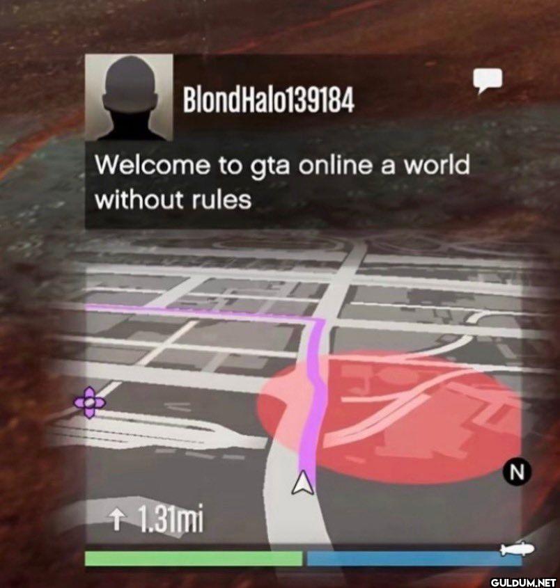 BlondHalo139184 Welcome to...