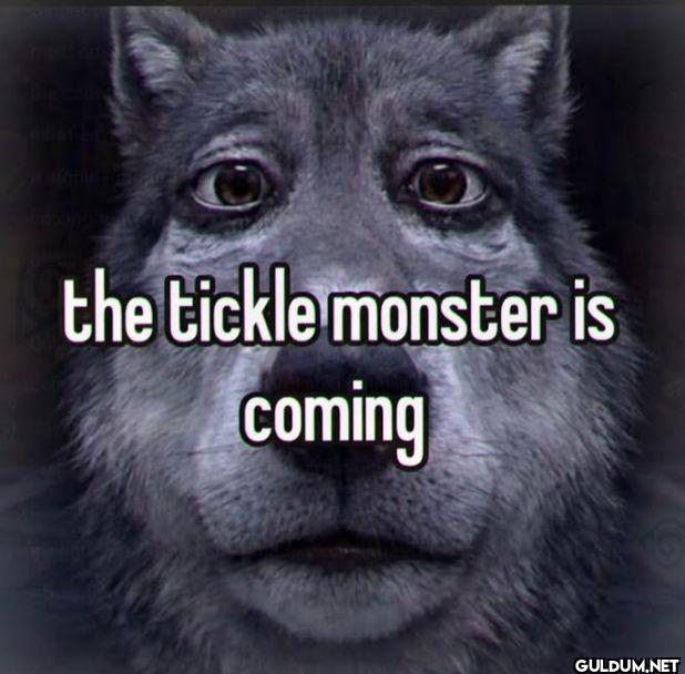 the tickle monster is coming