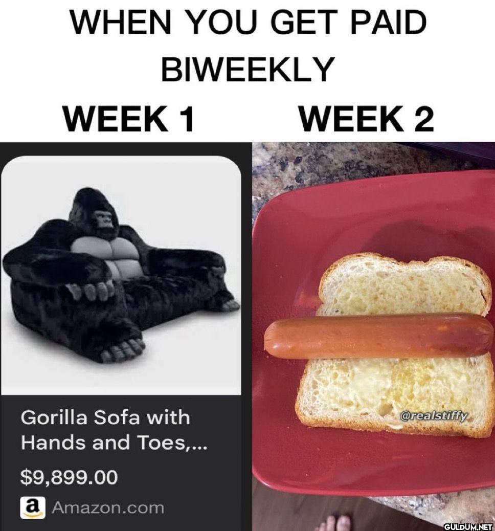 WHEN YOU GET PAID BIWEEKLY...
