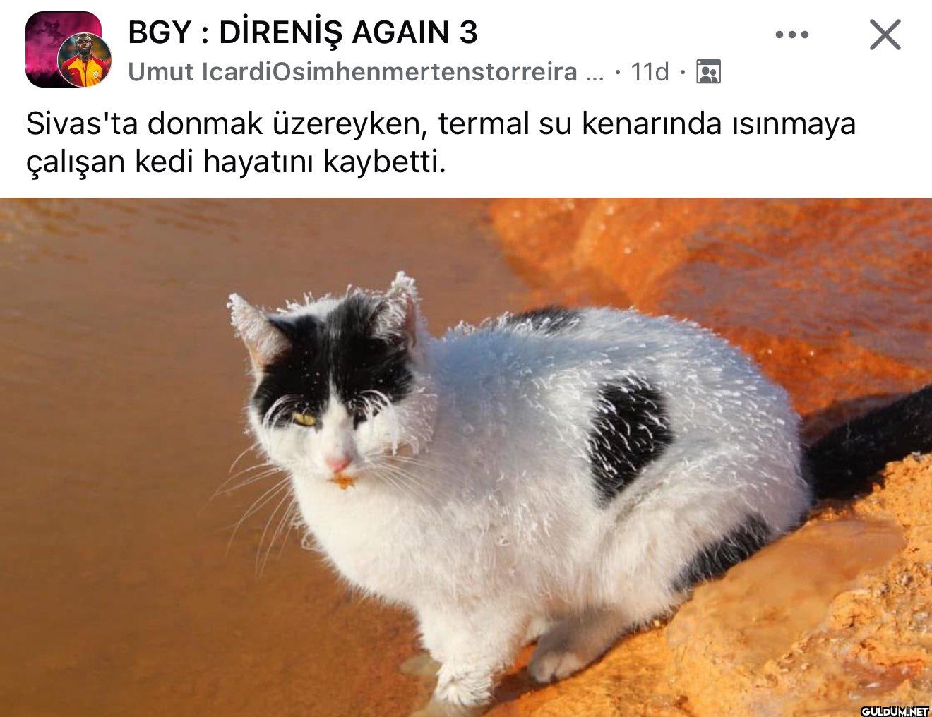 Ağlıcam    BGY: DİRENİŞ...