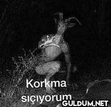 Hayır şimdi olmaz...