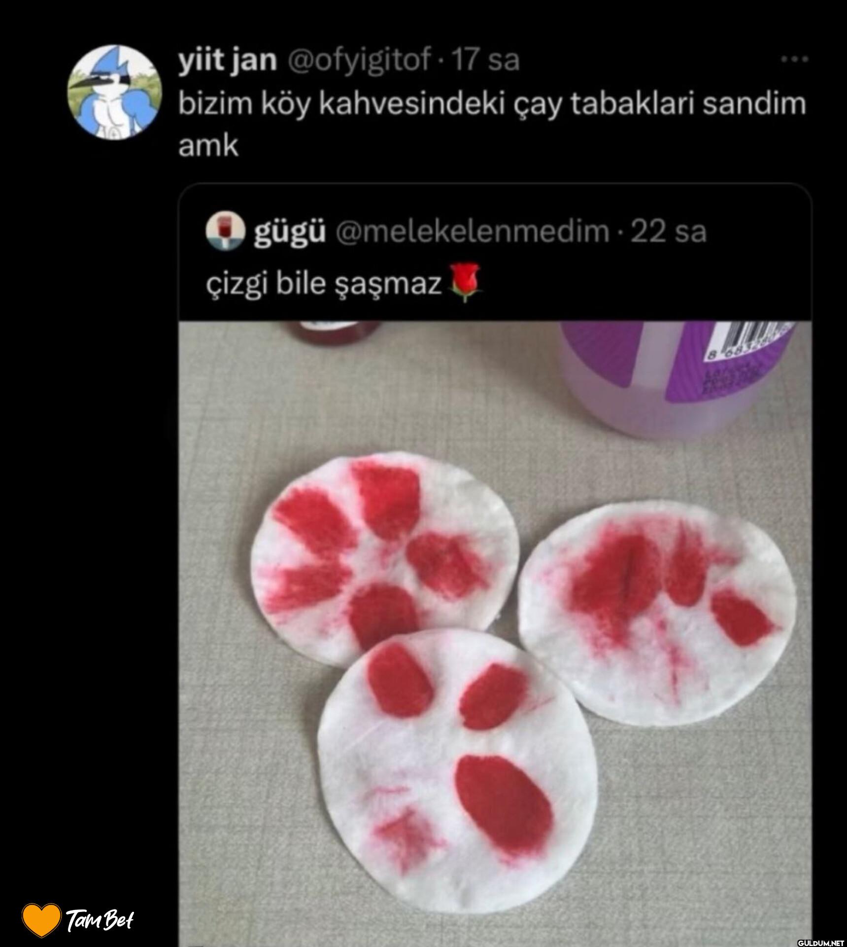 17 sa bizim köy...