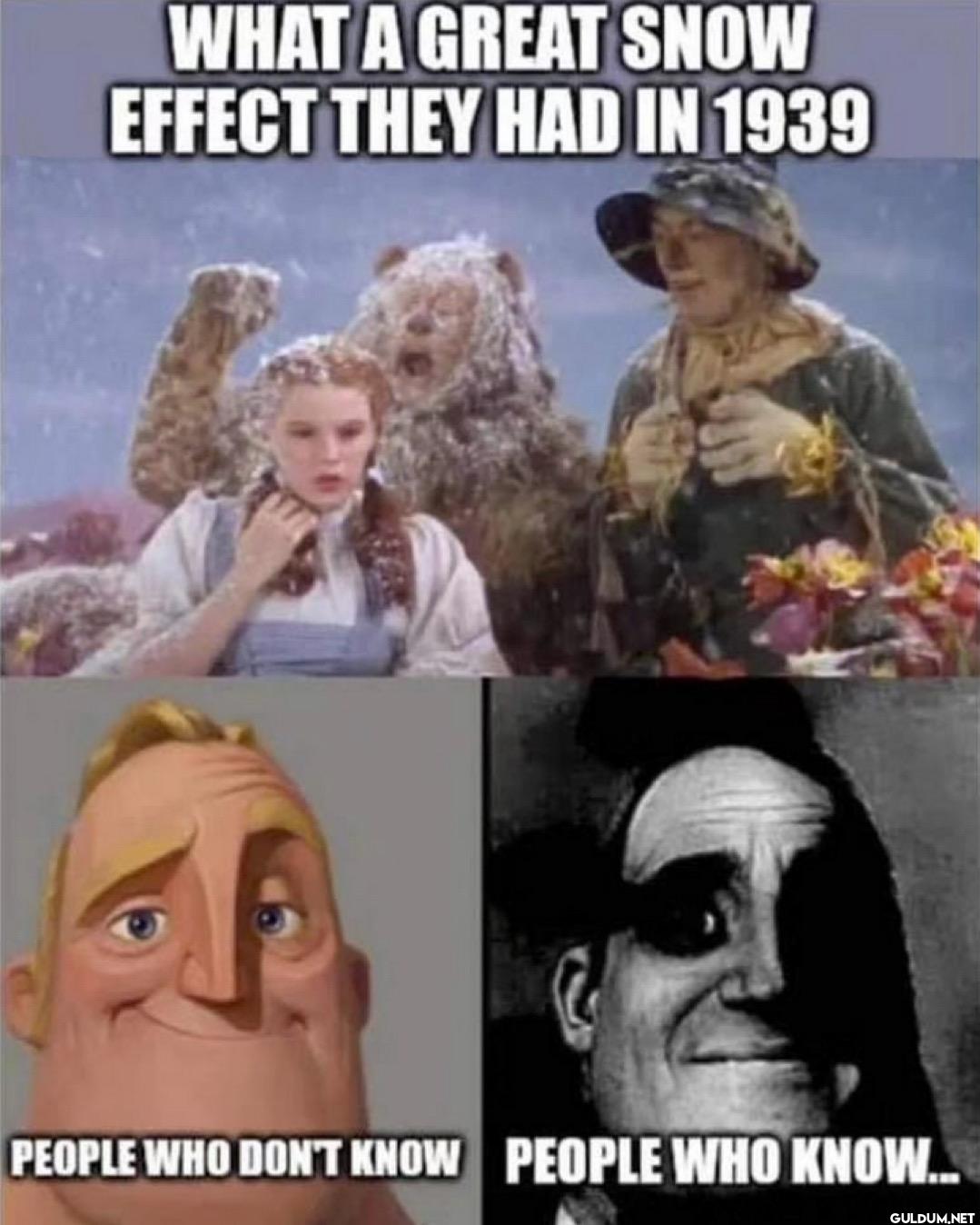 WHAT A GREAT SNOW EFFECT...