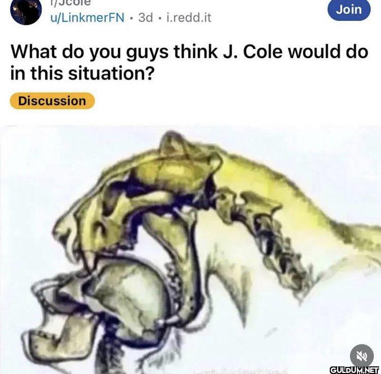 personally i’d fight back ...