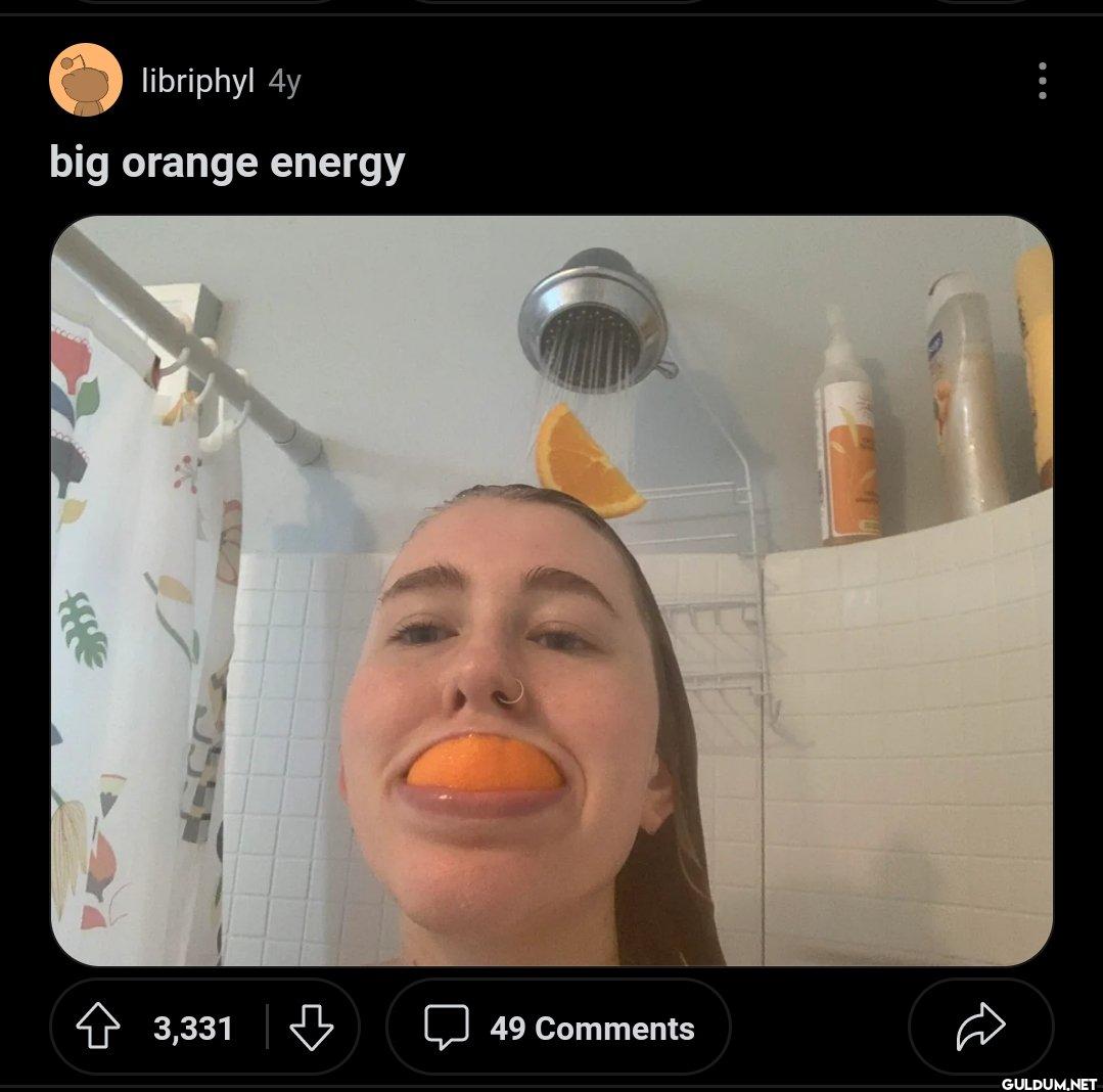 libriphyl 4y big orange...