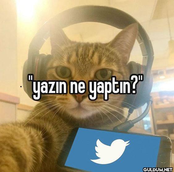 "yazın ne yaptın?"