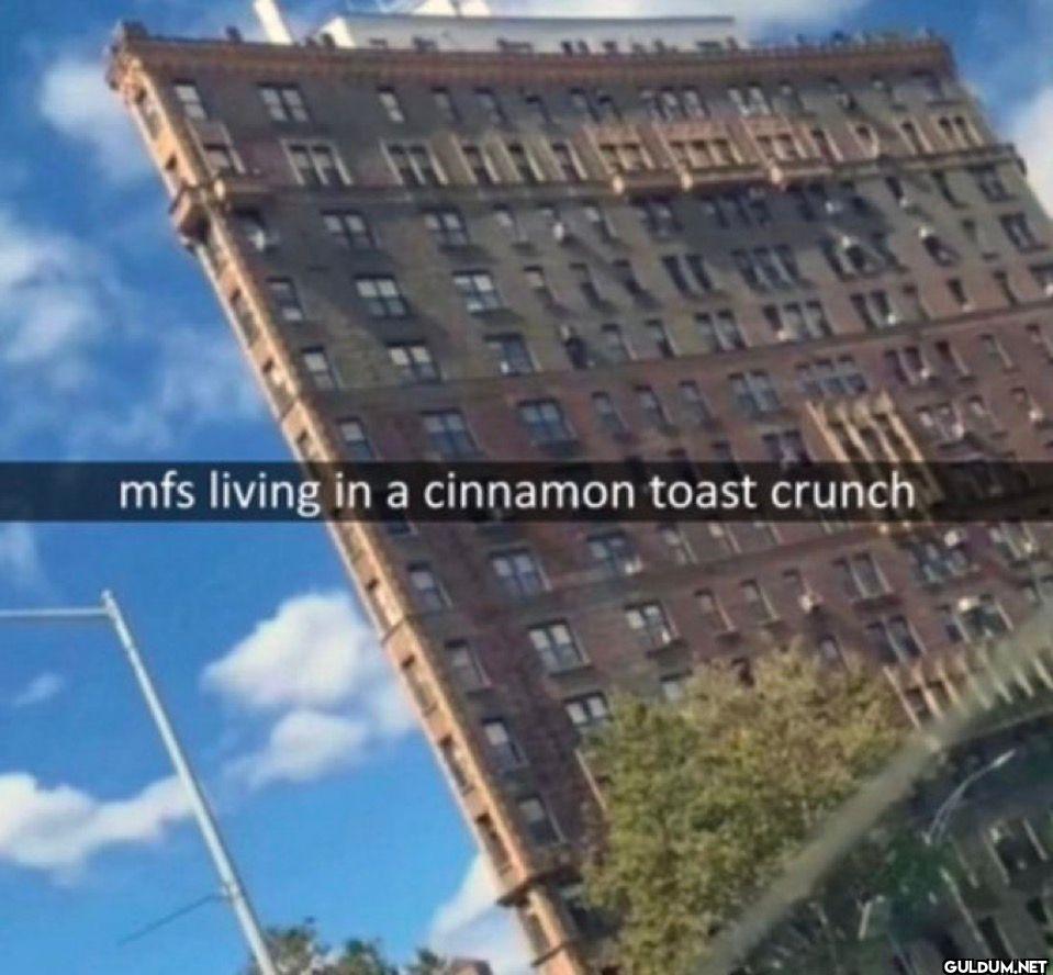 mfs living in a cinnamon...