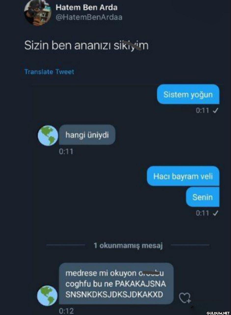 Sizin ben ananızı sikiyim...