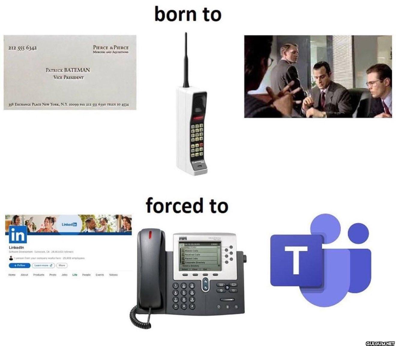 so true    212 555 6342...