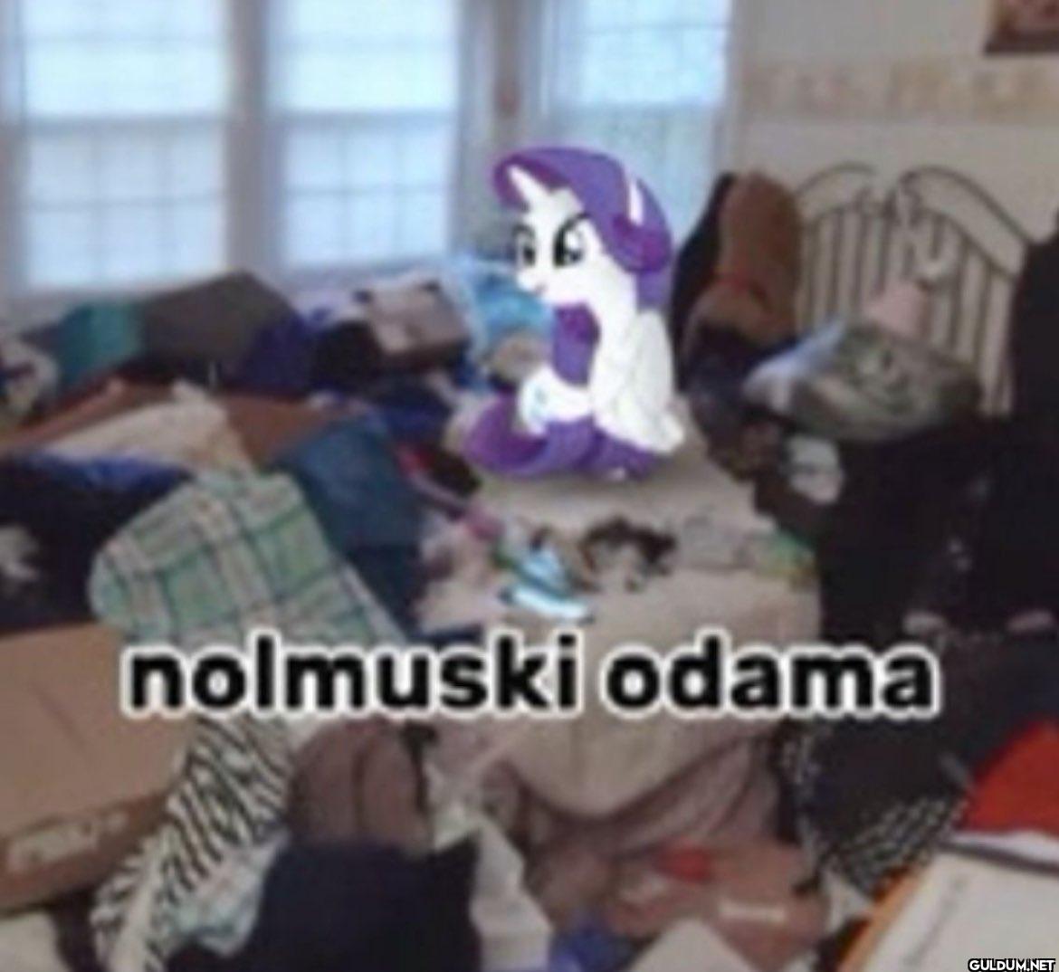 nolmuski odama