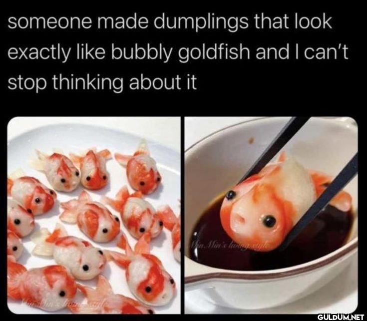 someone made dumplings...