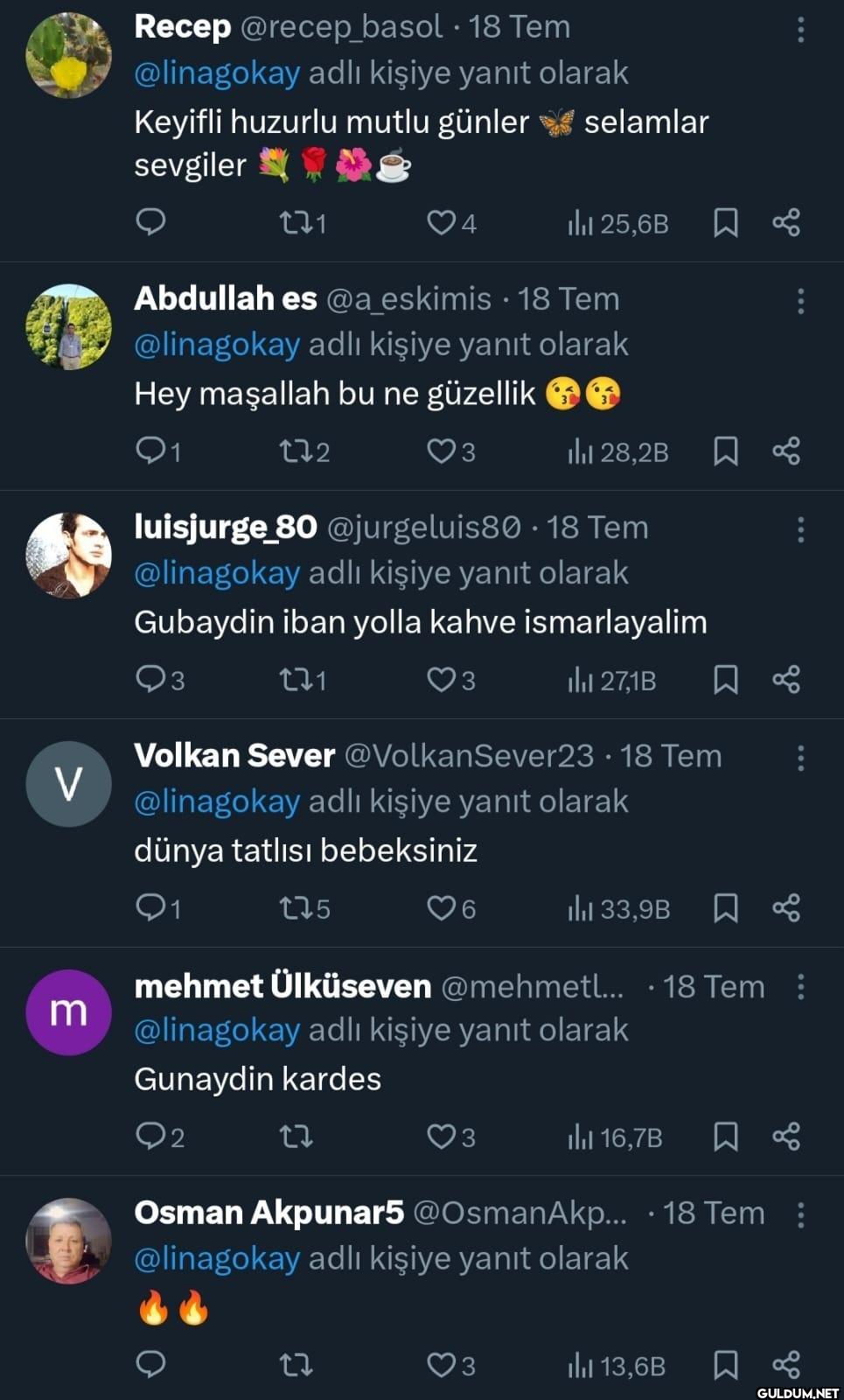 • 18 Tem @linagokay adlı...