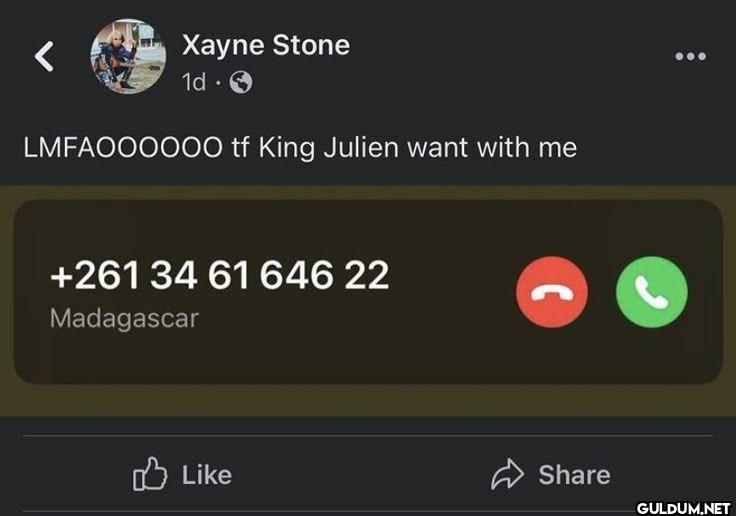 Xayne Stone 1d LMFAOOOOOOO...