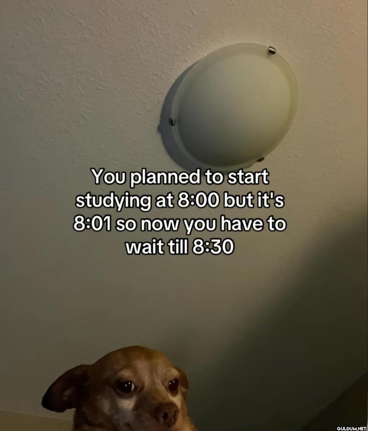 You planned to start...