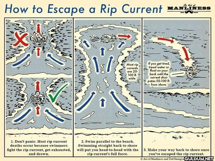 19. How To Escape A Rip...