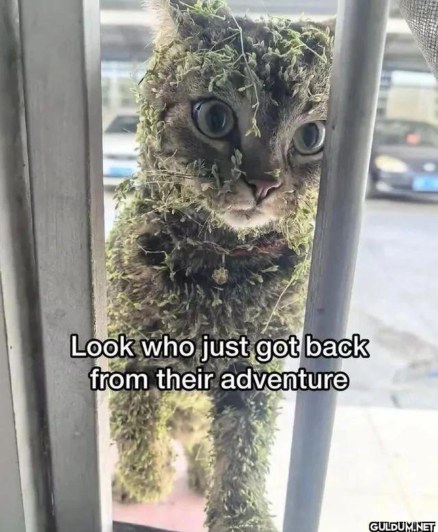 Look who just got back...