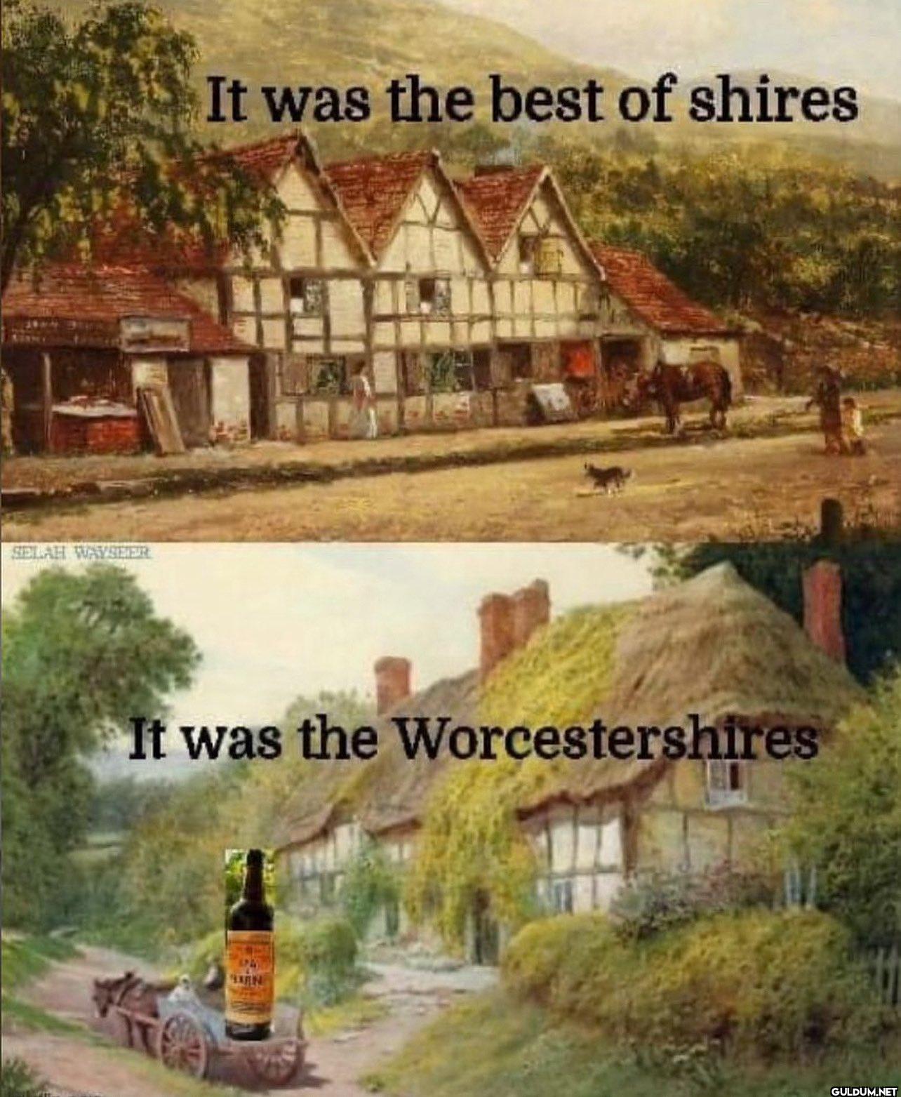 SELAH WAYSEER It was the...