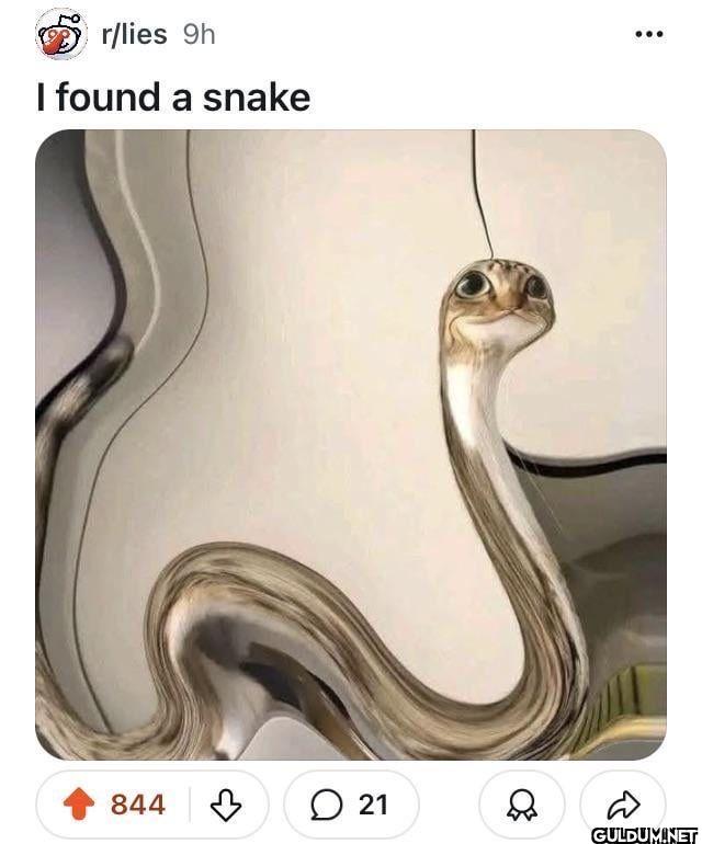 r/lies 9h I found a snake...