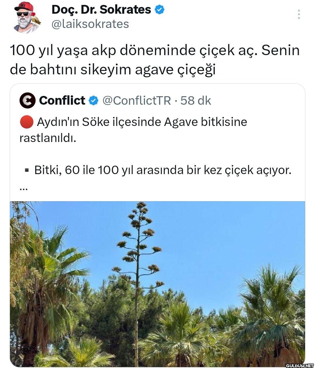 100 yıl yaşa akp döneminde...