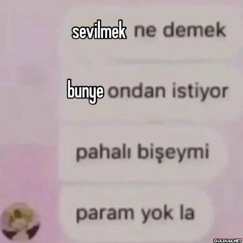 sevilmek ne demek bunge...