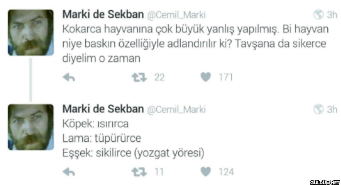 Kokarca hayvanına çok...