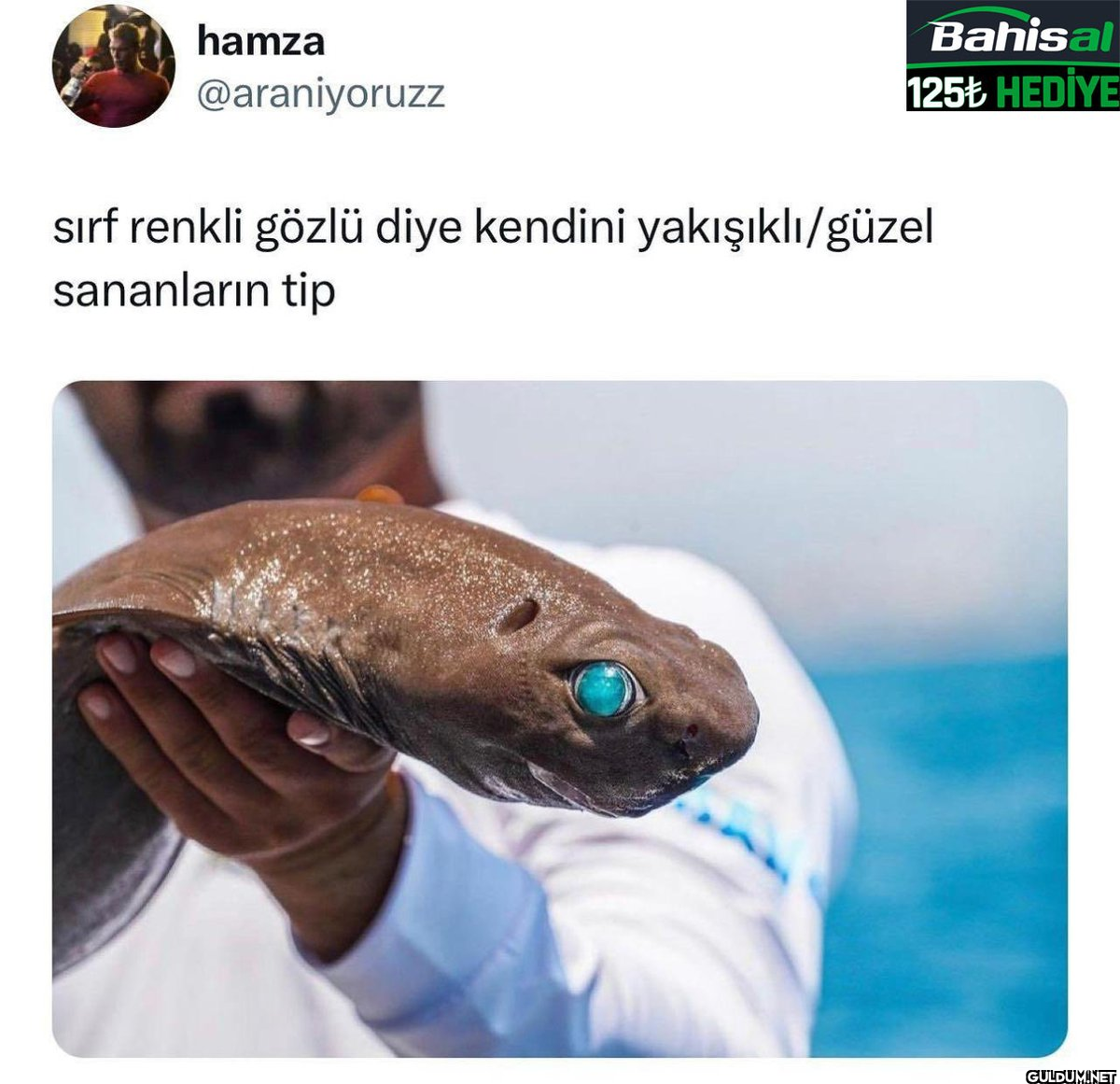 sirf renkli gözlü diye...