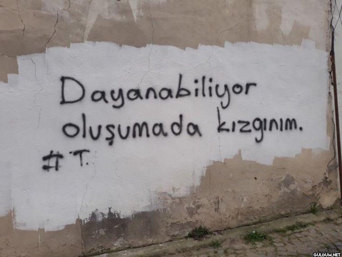 Dayanabiliyor oluşumada...