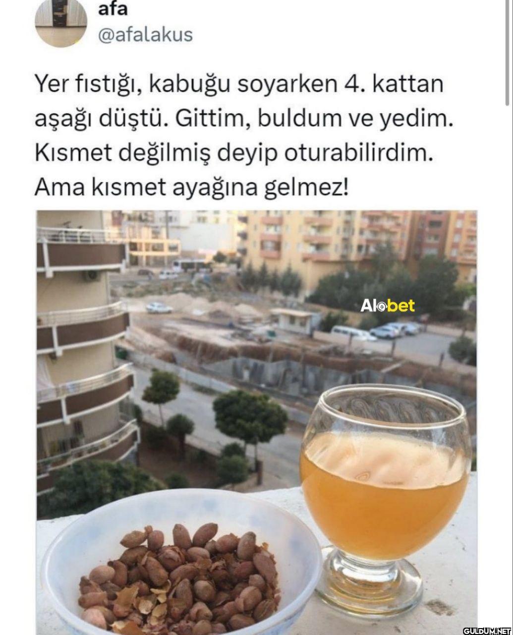 Yer fıstığı, kabuğu...