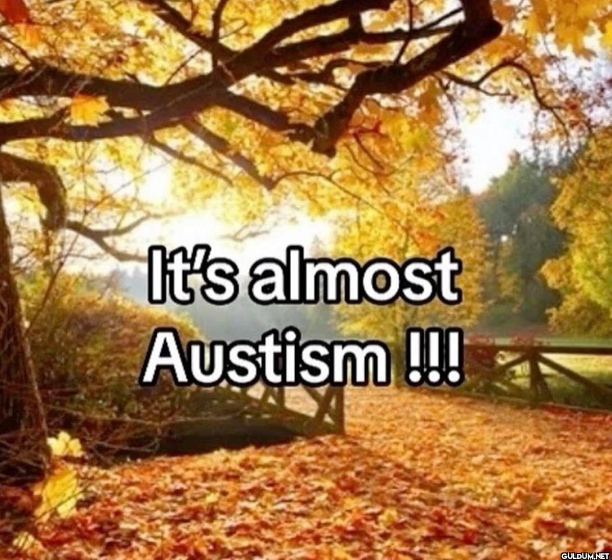 It's almost Austism !!!