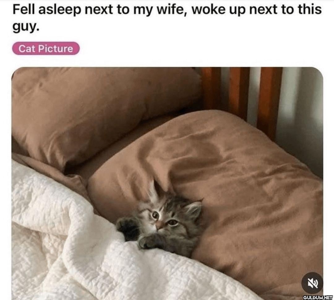 Fell asleep next to my...