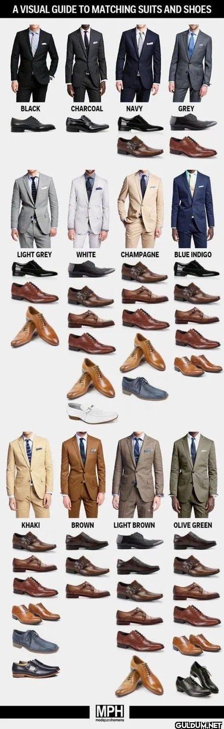 6. A visual guide to...
