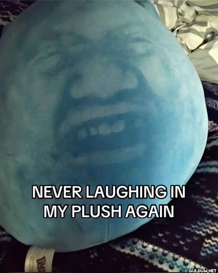 NEVER LAUGHING IN MY PLUSH AGAIN