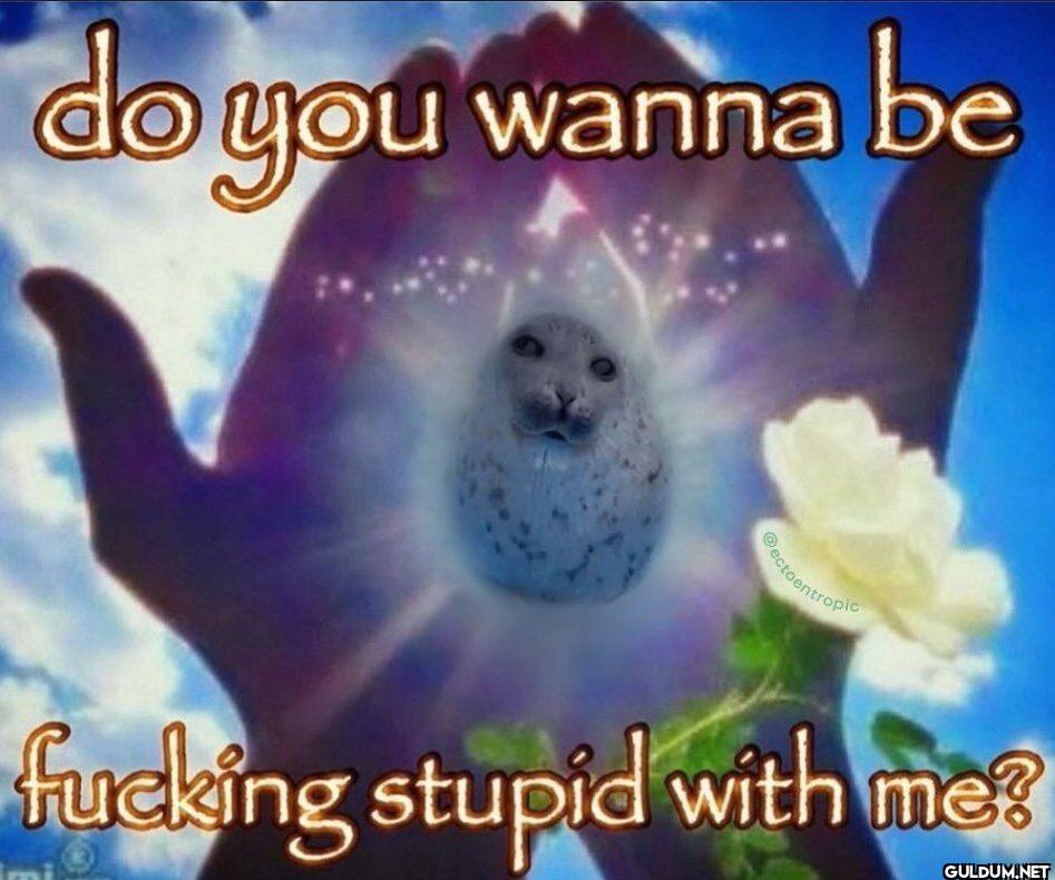 do you wanna be fucking...