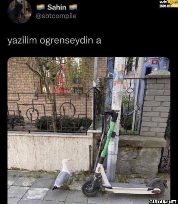 yazilim ogrenseydin a 3824...