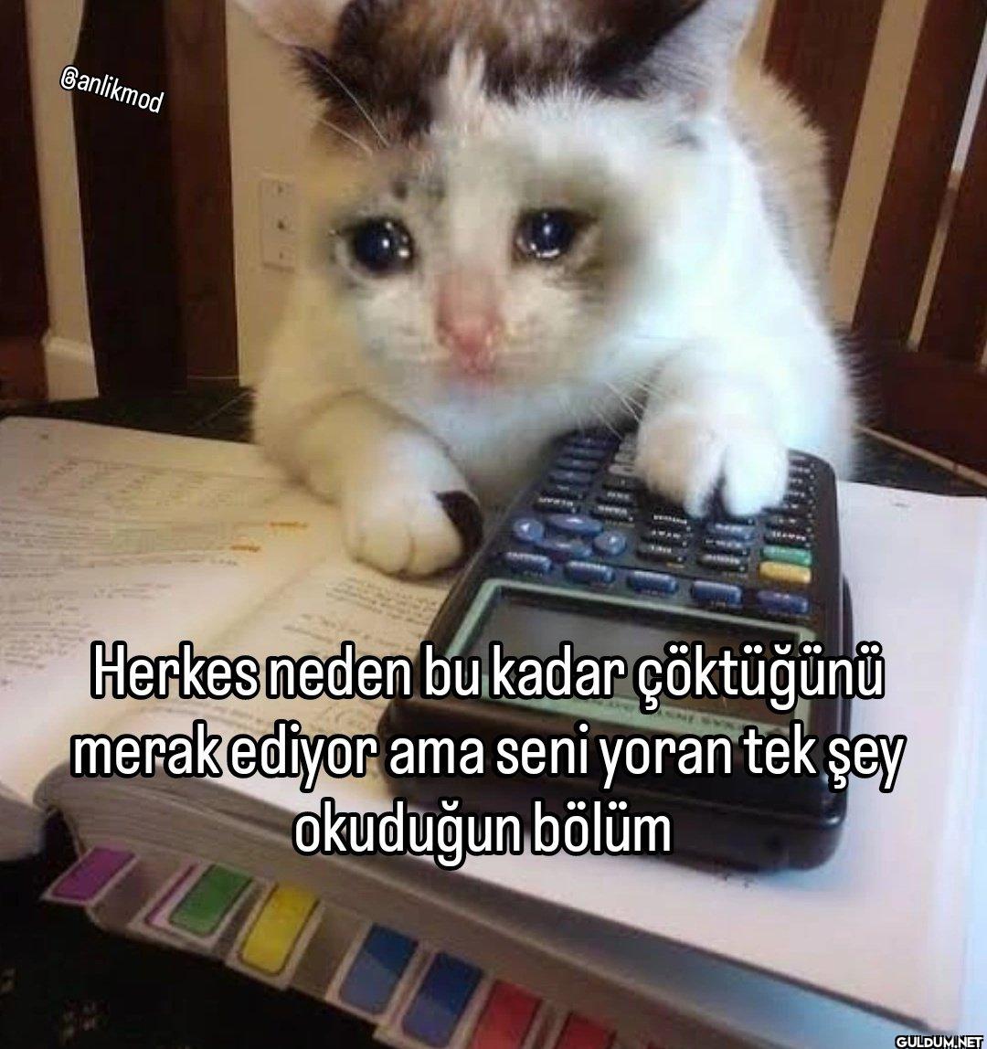 Banlikmod Herkes neden bu...