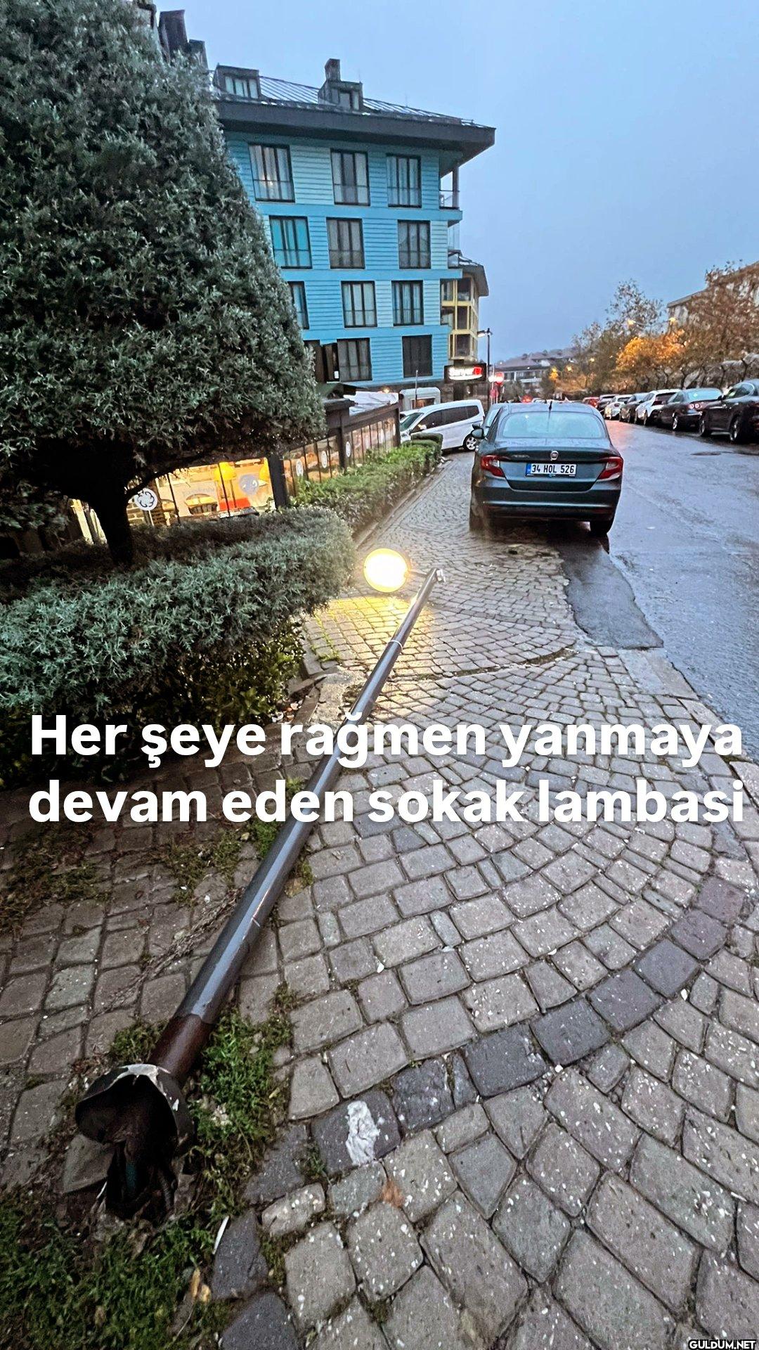 34 HOL 526 Her şeye rağmen...