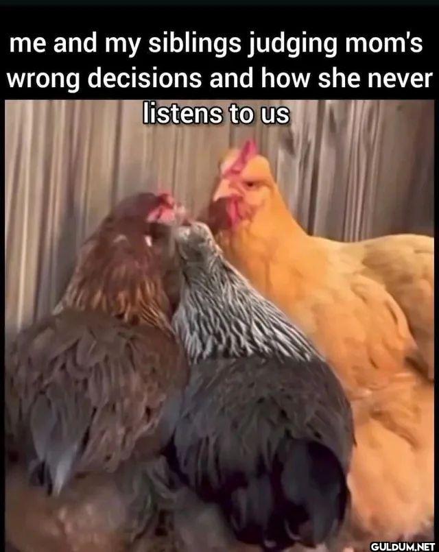 me and my siblings judging...