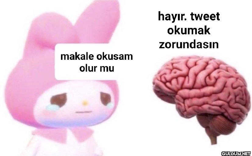 makale okusam olur mu...
