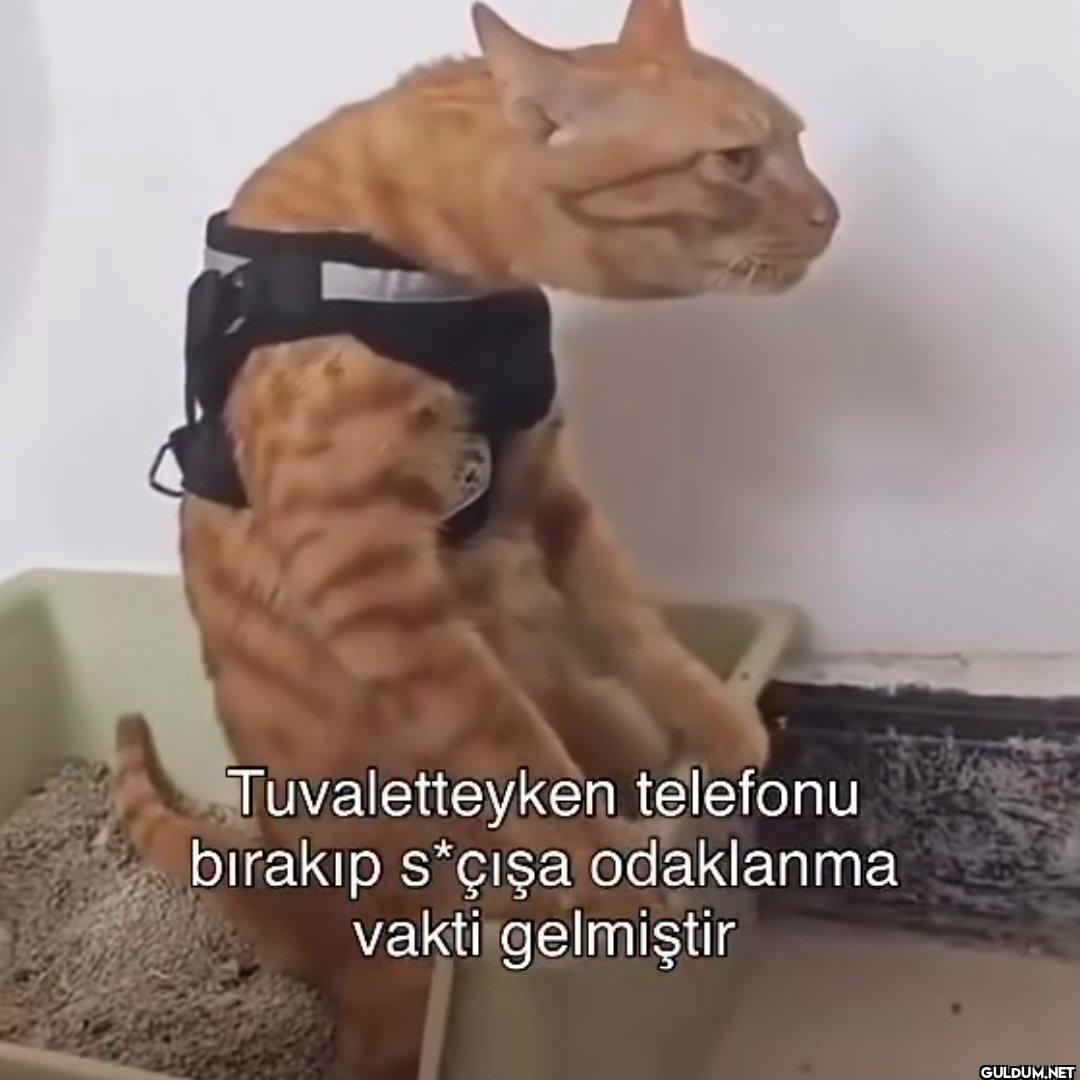 Tuvaletteyken telefonu...